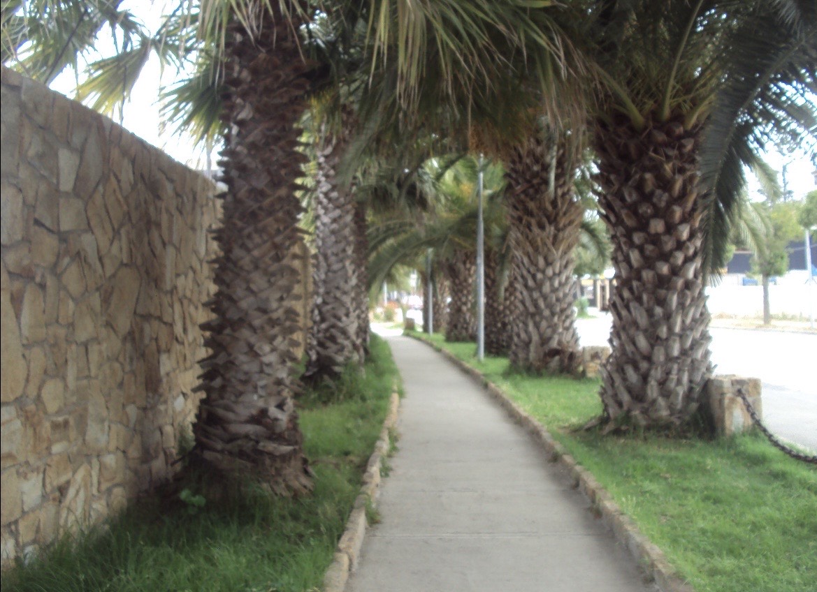 Foto propia, calle de Quintero